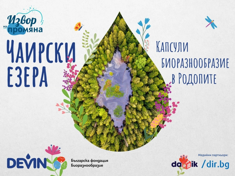 DEVIN и фондация „Биоразнообразие“ създадоха първия в България наръчник за възстановяване и опазване на торфища