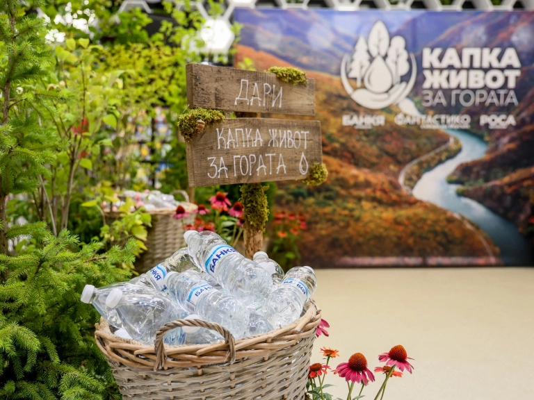 „Капка живот за гората“: 12 000 дървета ще възстановят опожарена местност в Пирин